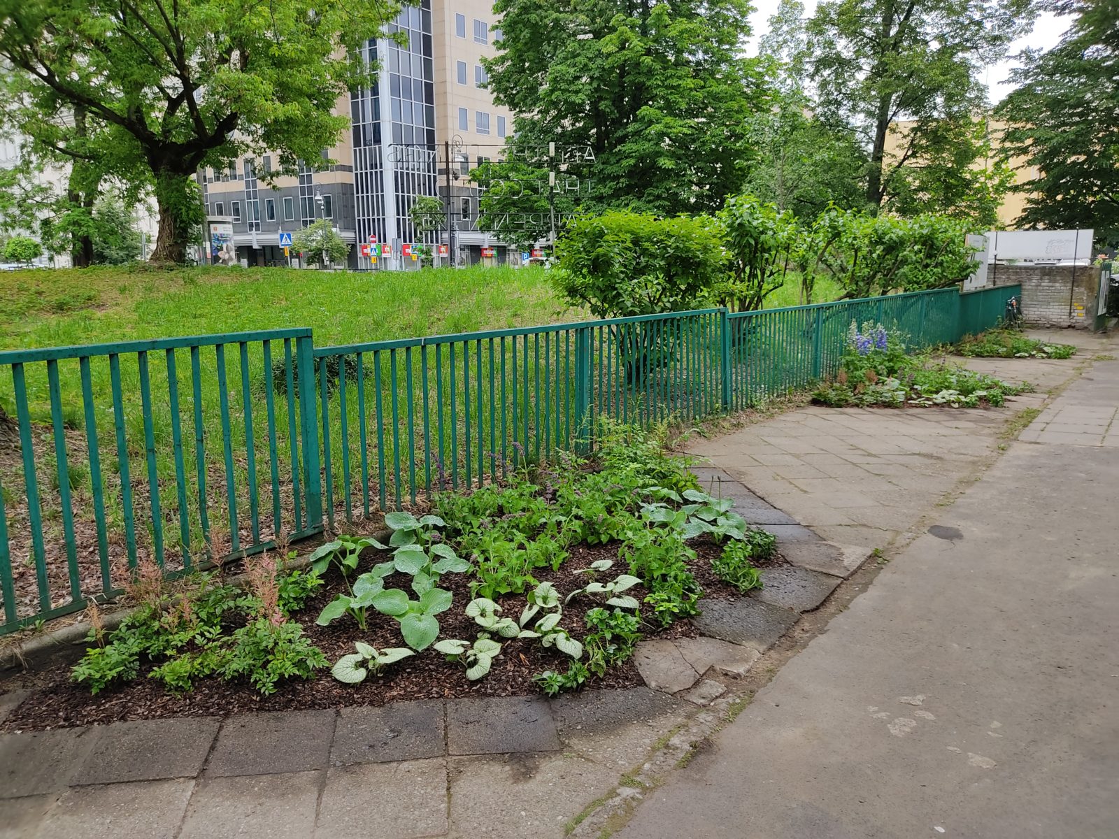 Ściągamy beton w ścisłym centrum!